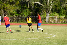 Enlarge photo 226