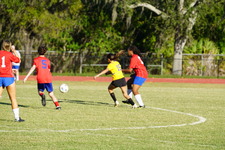 Enlarge photo 227