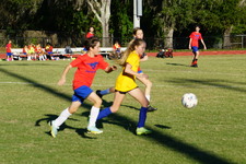 Enlarge photo 229