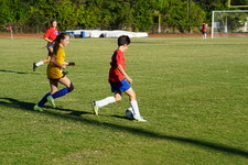Enlarge photo 231