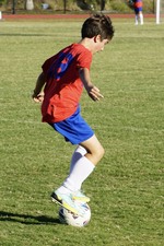 Enlarge photo 230