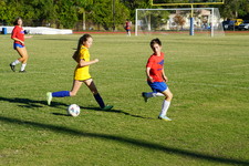 Enlarge photo 232