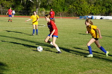 Enlarge photo 234