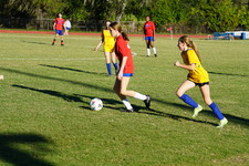 Enlarge photo 235