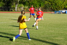 Enlarge photo 236