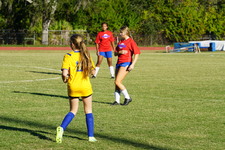 Enlarge photo 237