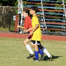 Enlarge photo 239