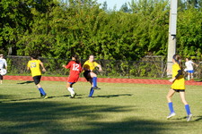 Enlarge photo 241