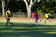 Enlarge photo 243