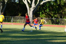 Enlarge photo 244