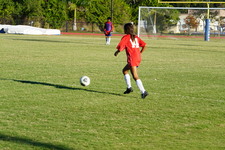 Enlarge photo 248