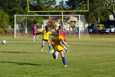 Enlarge photo 251