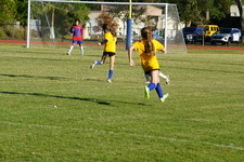 Enlarge photo 252