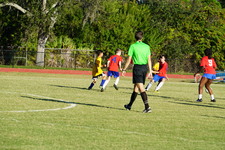Enlarge photo 255