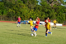 Enlarge photo 256