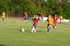 Enlarge photo 257