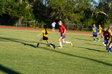 Enlarge photo 259