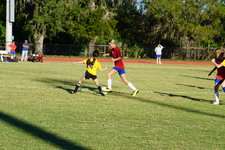 Enlarge photo 260