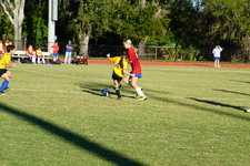 Enlarge photo 261