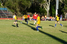 Enlarge photo 263