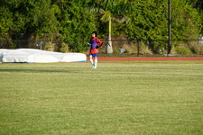 Enlarge photo 272