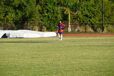 Enlarge photo 273