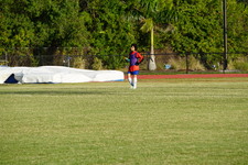 Enlarge photo 274