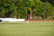 Enlarge photo 275