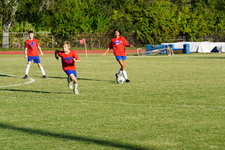 Enlarge photo 280