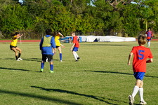 Enlarge photo 290