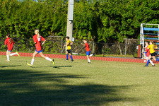 Enlarge photo 296