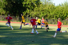 Enlarge photo 301