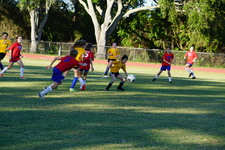 Enlarge photo 303