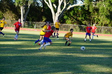Enlarge photo 304
