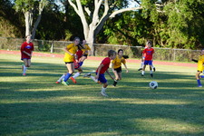 Enlarge photo 305