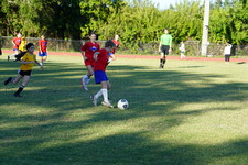 Enlarge photo 308