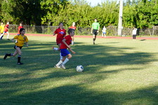 Enlarge photo 306