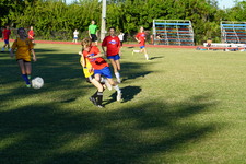 Enlarge photo 310