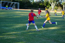 Enlarge photo 312
