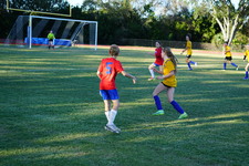 Enlarge photo 313