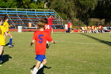 Enlarge photo 321
