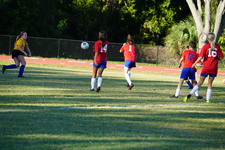 Enlarge photo 331