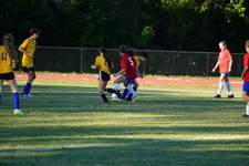 Enlarge photo 335