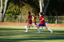 Enlarge photo 346