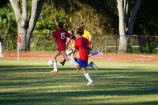 Enlarge photo 347