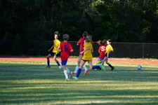 Enlarge photo 352