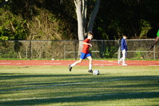 Enlarge photo 354