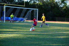 Enlarge photo 367