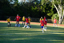Enlarge photo 382