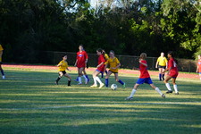 Enlarge photo 383